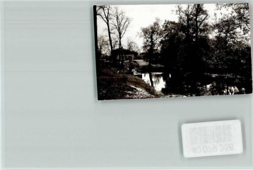 Groß-Gerau Teich