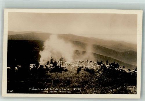 Frauenau Böhmerwald auf dem Rachel