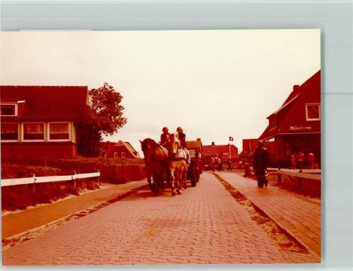 Baltrum Pferdekutsche