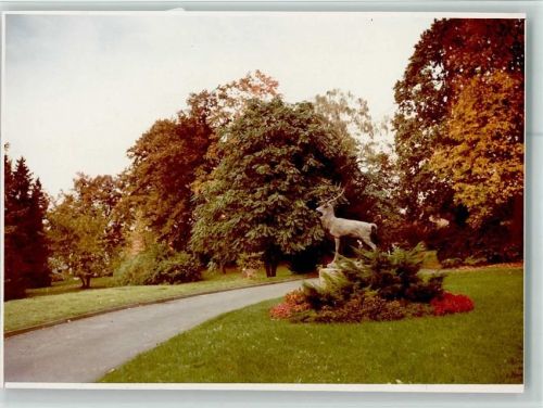 Alsbach Hirschpark