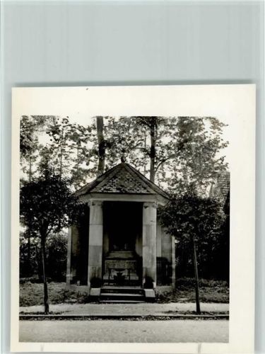 Schapdetten Foto