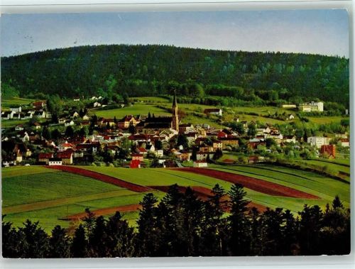 Waldkirchen Ortsansicht