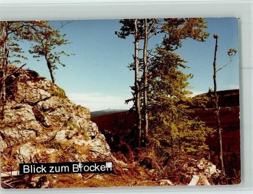 Braunlage Blick zum Brocken