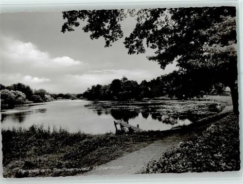 Reinbek Mühlenteich
