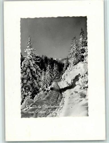 Verschneiter Tannenwald und Skispuren
