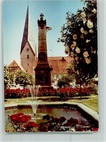 Eutin Alter Markt mit Michaeliskirche Springbrunnen Rosen