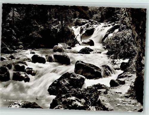 Ramsau Im Zauberwald Foto L. Ammon