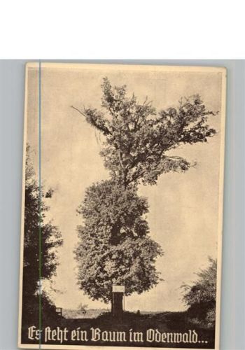 Es steht ein Baum im Odenwald Liederkarte