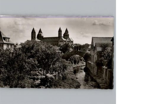 Speyer Dom mit Riegel