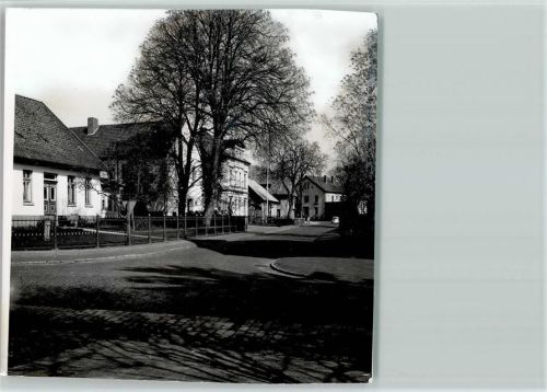 Augustfehn Foto TK83