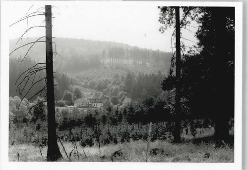 Hasselborn Foto