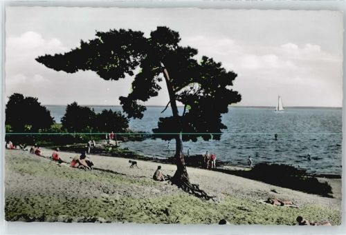 Steinhude