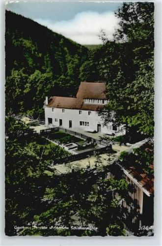 Schlehenmühle Gasthaus, Pension Friedrich
