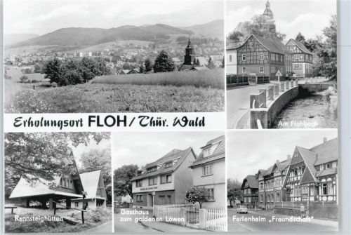 Floh Gasthaus zum goldenen Löwen