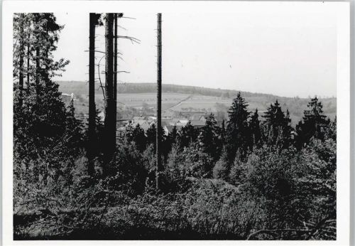 Hasselborn Foto