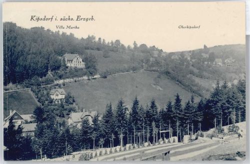 Kipsdorf Baum Feld Haus