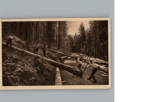 Schwarzwald