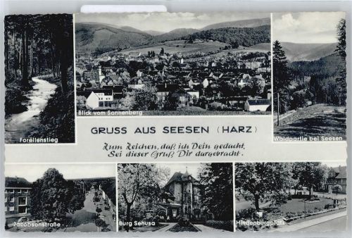 Seesen Gesamtansicht Burg Jacobsonstraße Baum Platz Laterne