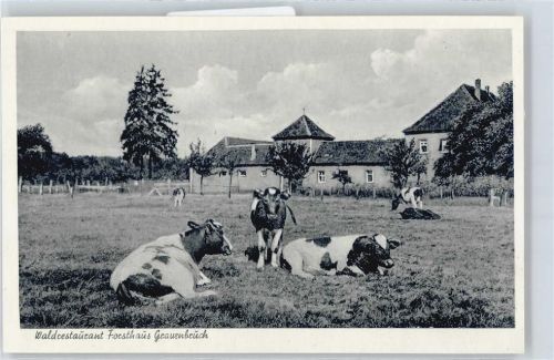 Gravenbruch Restaurant Forsthaus Feld Kuh Baum