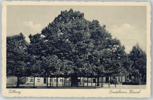 Tilburg Lindenbaum