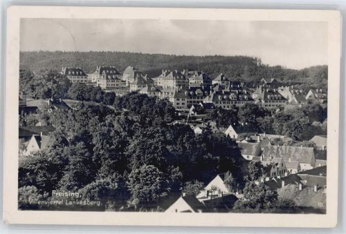 Freising Villenviertel Lankesberg Baum