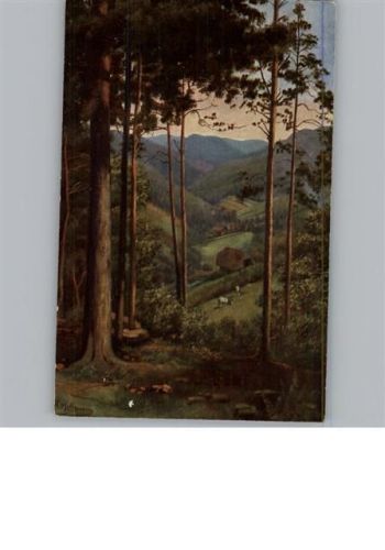 Schwarzwaldhaus