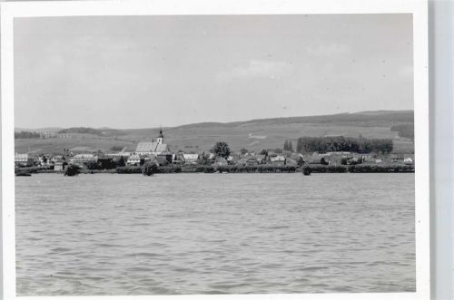 Oestrich-Winkel Foto Fluss Feld Haus Baum