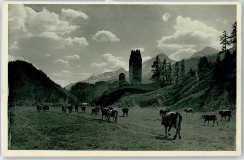 Kuhherde auf der Alm