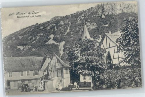 Bad Münster-Ebernburg Hahnenhof und Gans
