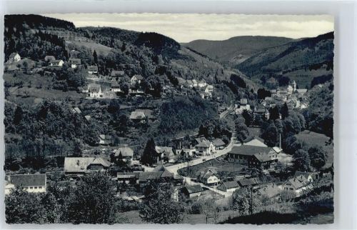 Bad Peterstal Berg Baum Haus Straße Tal