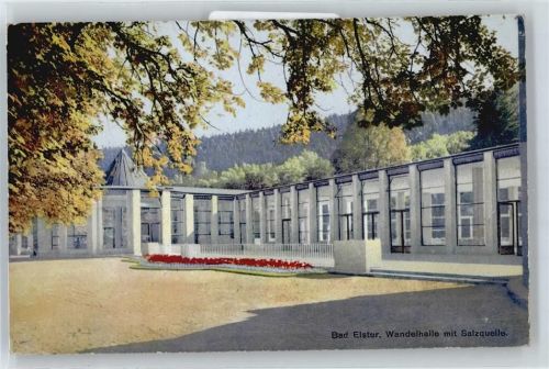 Bad Elster Wandelhalle Salzquelle