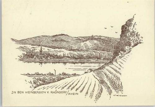 Rhöndorf Weinberge