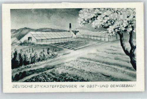 Stickstoffdünger , Gemüseanbau