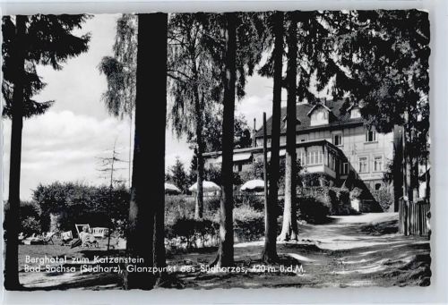 Bad Sachsa Hotel zum Katzenstein