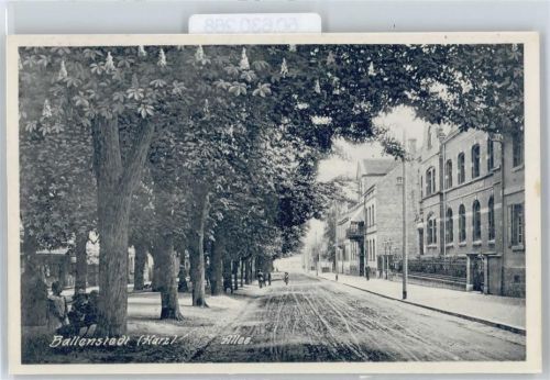 Ballenstedt Allee