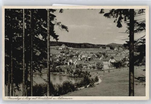 38700 W3389 Braunlage - Panorama AKU2