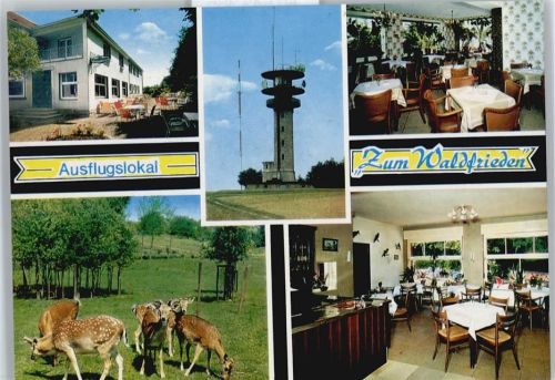 Havixbeck Gaststätte Zum Waldfrieden, Rehe