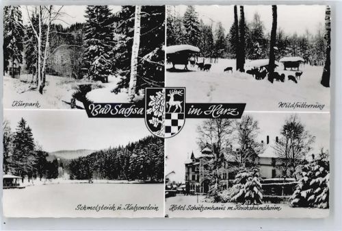 Bad Sachsa Kurpark, Schmelzteich, Katzenstein, Hotel Schützenhaus