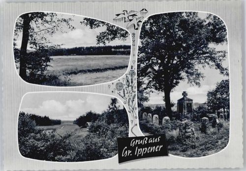 Groß Ippener Denkmal, Feld