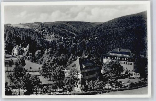 Bärenfels