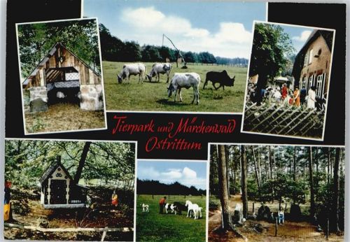 Ostrittrum Tierpark und Märchenwald, Pferd