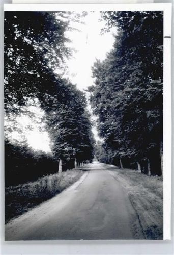 Stoetze Foto mit Negativ