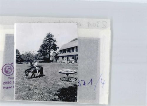 Westensee Foto mit Negativ, Ferienhof Kattenstedt, Pferd