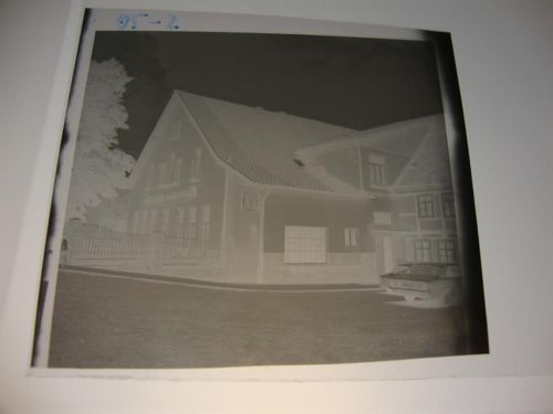 Vogelbeck Negativ