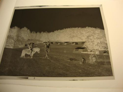 Bippen Campingplatz, Negativ