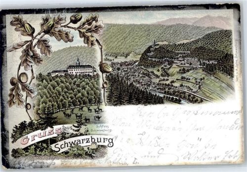 Schwarzburg Schloss , Marke entfernt