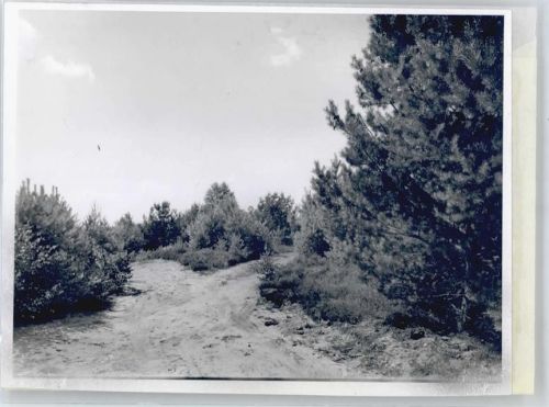 Todtglüsingen Foto mit Negativ