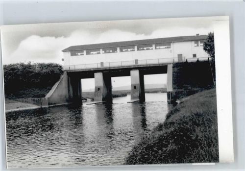 Niederwald Foto mit Negativ