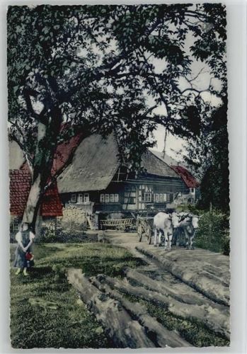 Alter Hof Rinderkarren