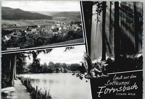 Fornsbach Waldsee Mehrfachaufnahme